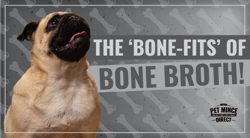 Bone-fits (aka Benefits) of Bone Broth for Your Best Mate