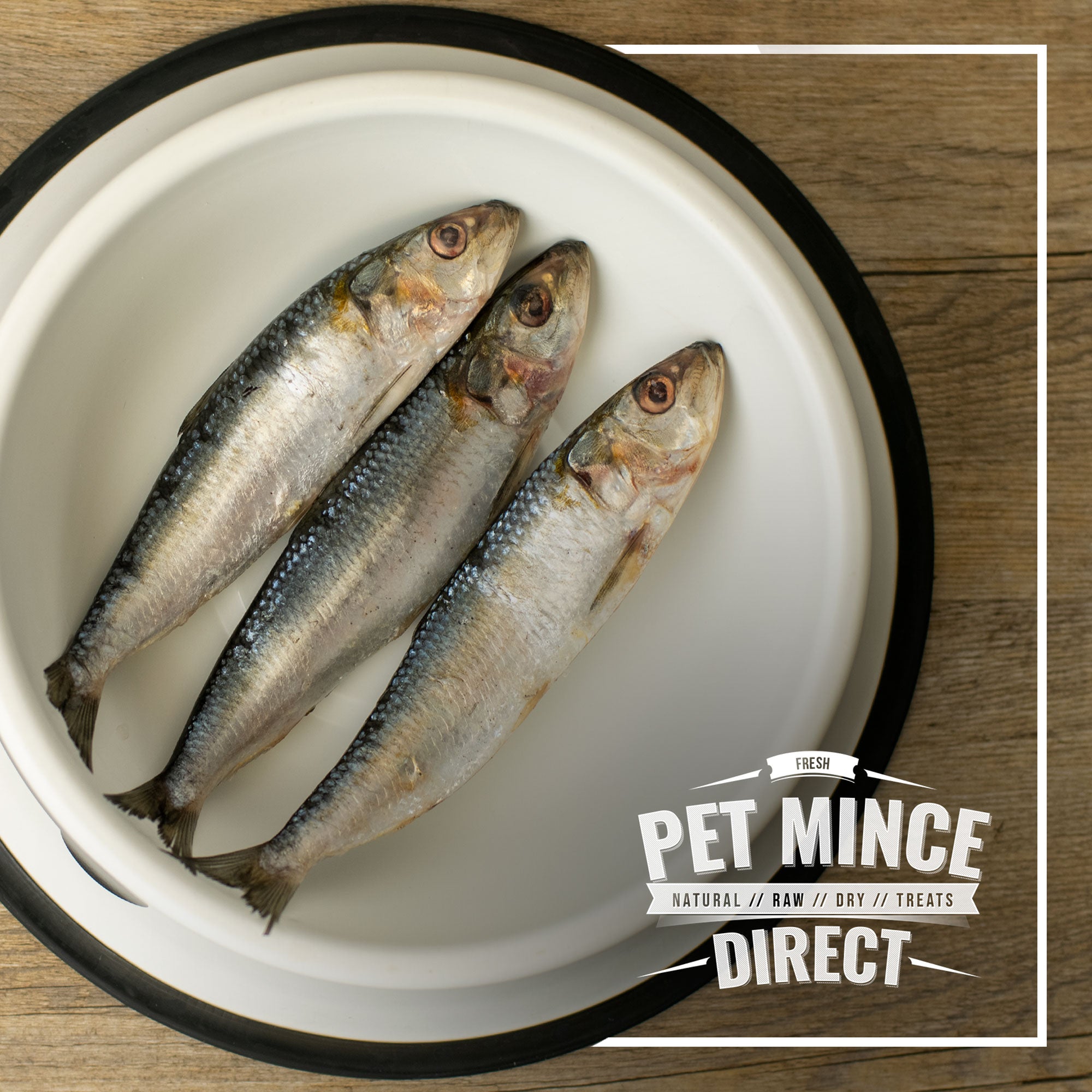 Canned Sardines For Dogs Can Dogs Eat Raw Sardines Sardine Fish For Dogs Store