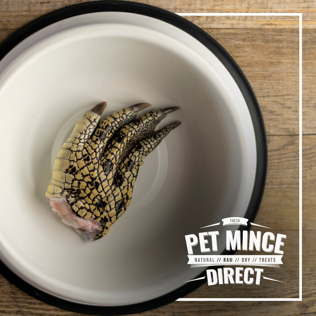 CROCODILE FEET Pet Mince Direct crocodile-feet-pet-mince-direct