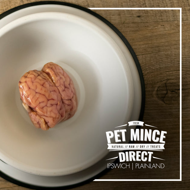 LAMB BRAIN Pet Mince Direct