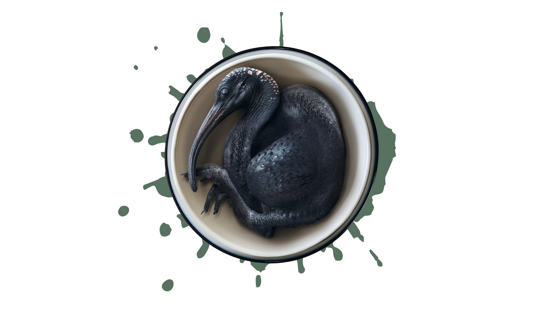 New Product Announcement!