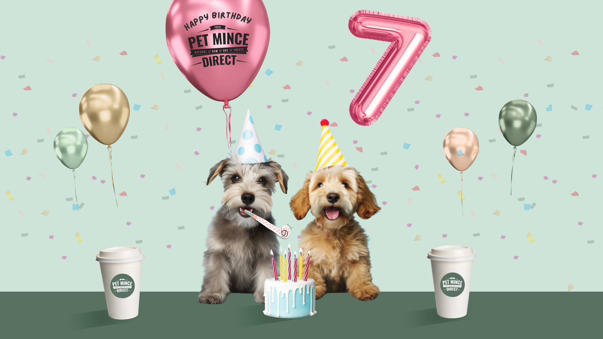 Pet Mince Direct 7th Birthday (in hooman years)