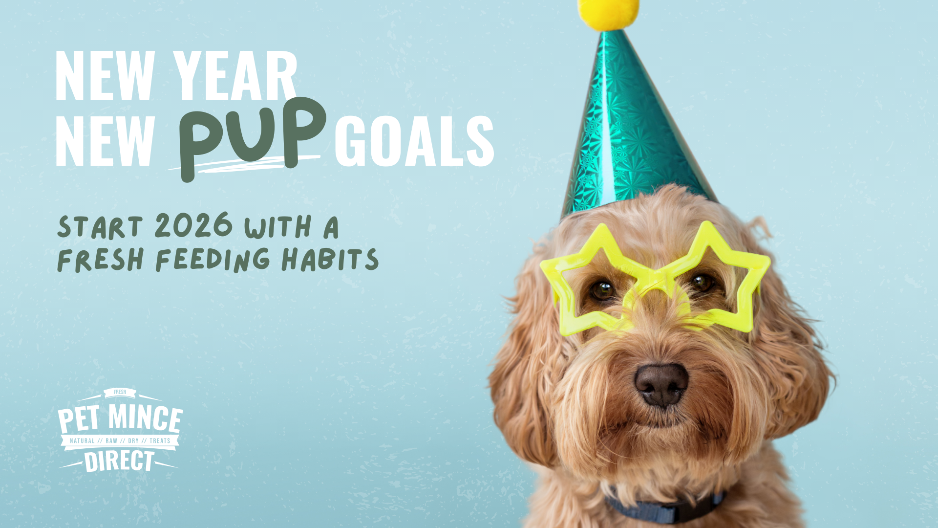 New Year, New Pup Goals: Start 2026 with a Fresh Feeding Habits