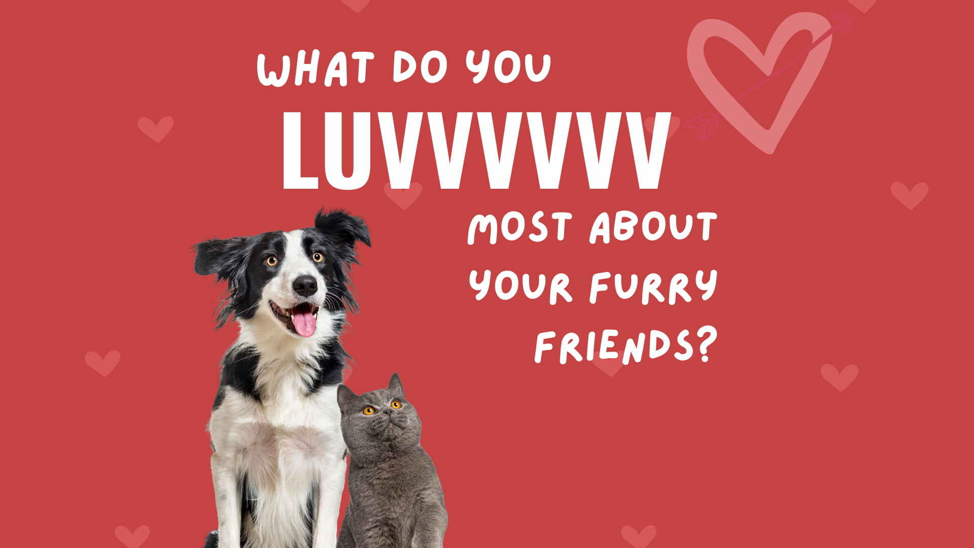 The Funny Little Things We Totally Luvvv About Our Dogs