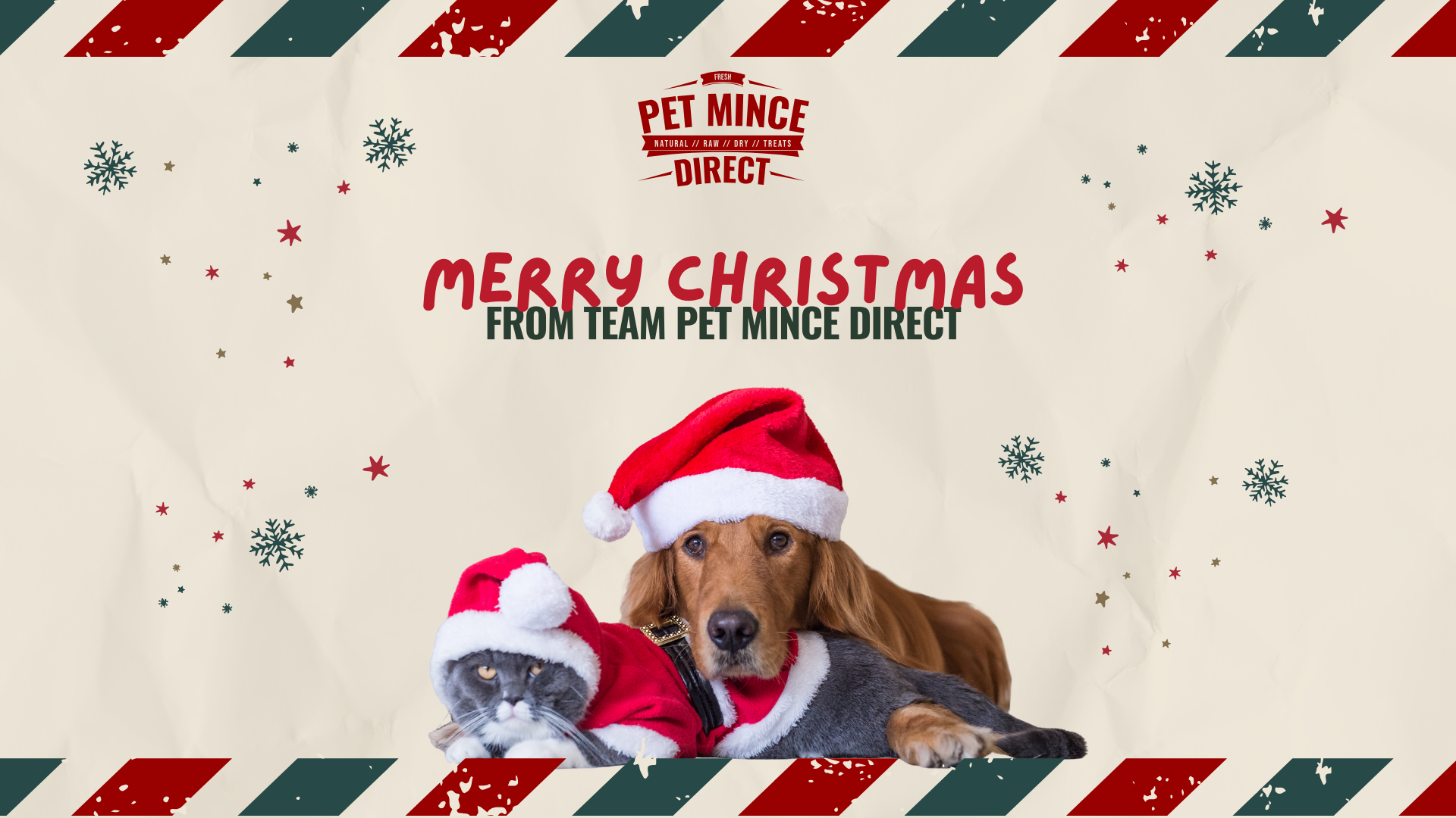 Pawsitively Perfect Christmas Gifts for Your Furry Friends