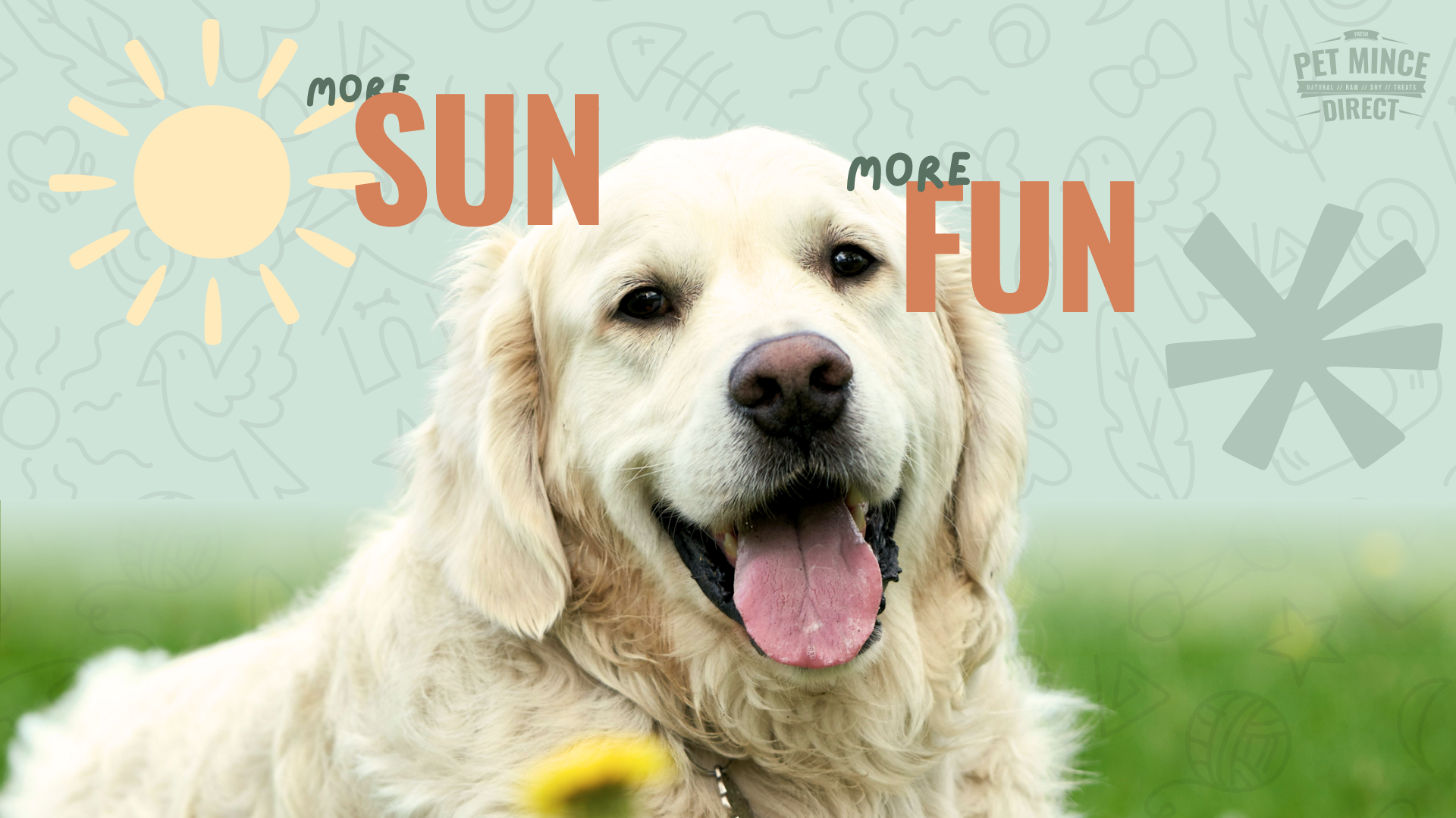 Glowup This Spring With Pet Mince Direct