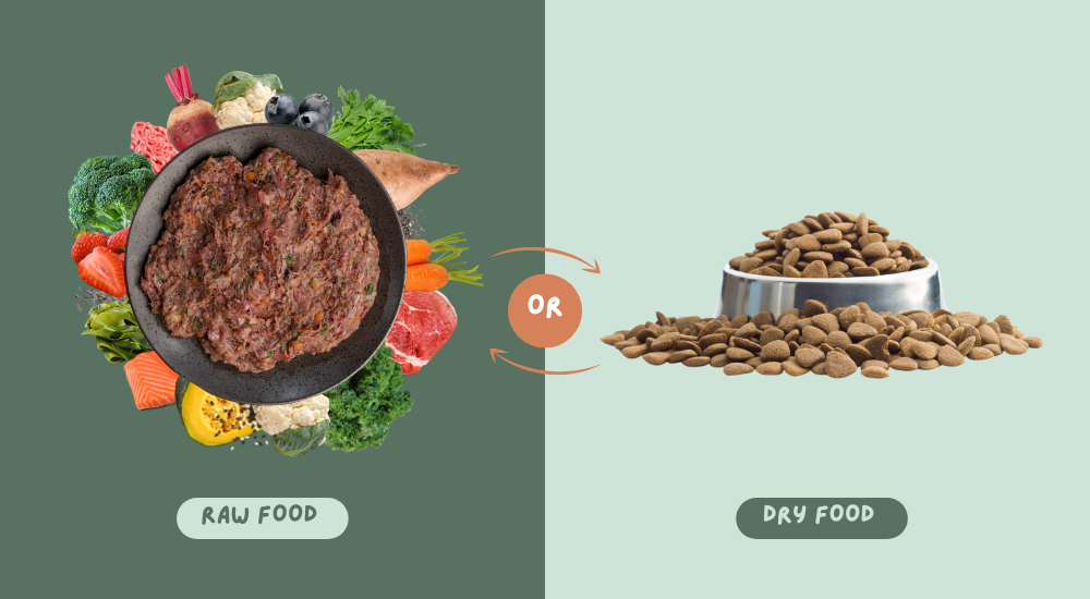 Raw Dog Food vs Dry Food: Which is Better for Your Pet?