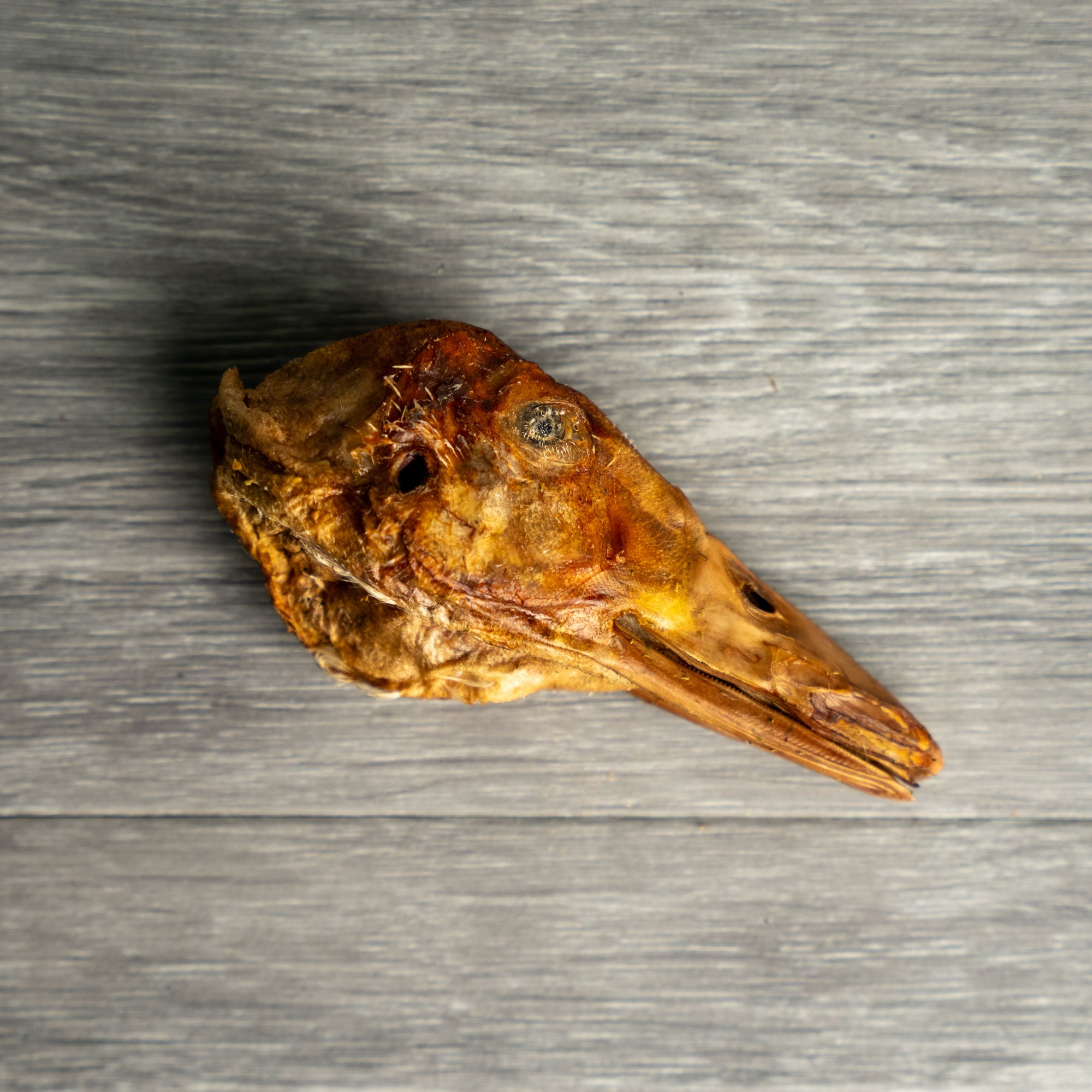 FREEZEDRIED DUCK HEADS