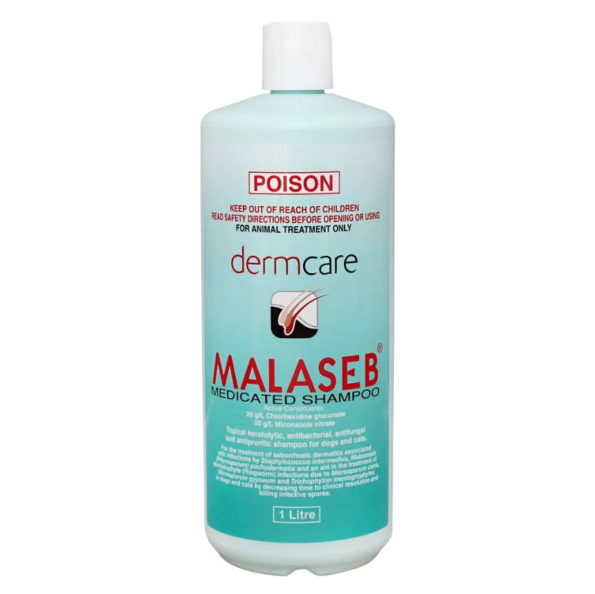 MALASEB - MEDICATED SHAMPOO