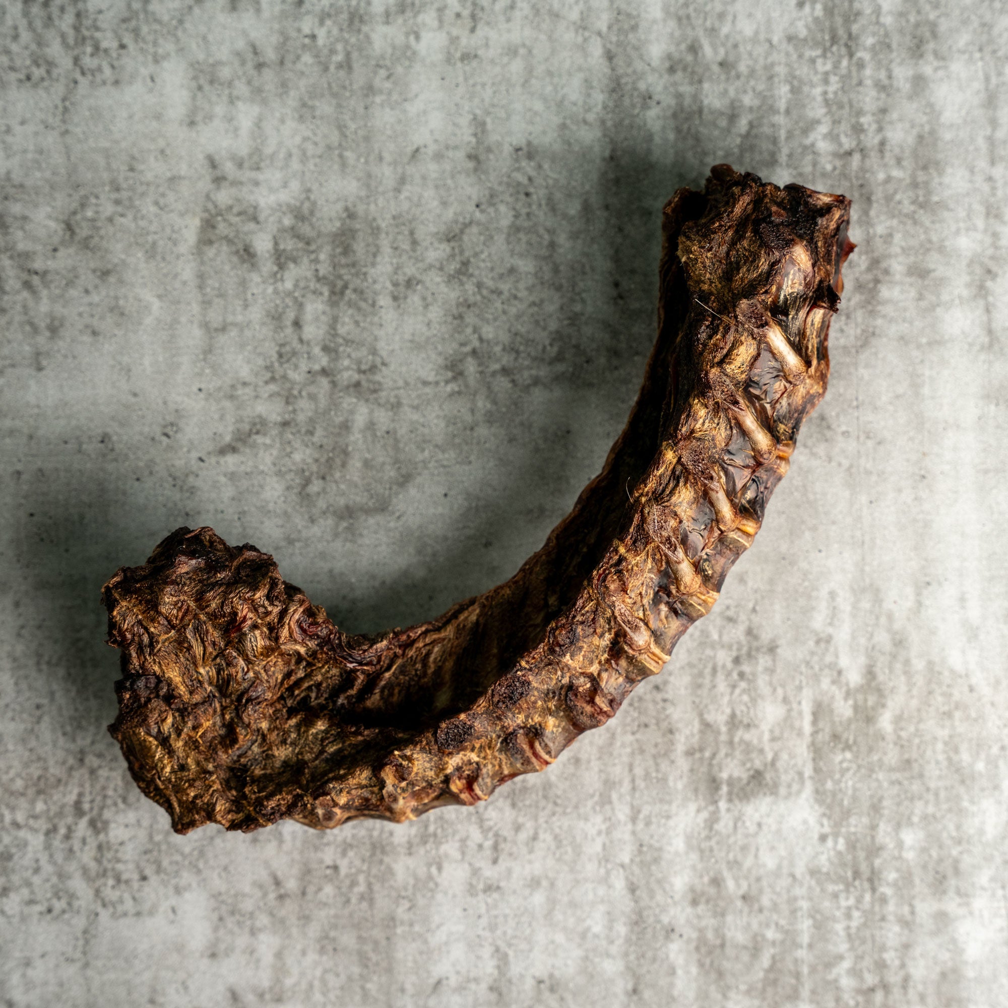 KANGAROO SPINE CHEW