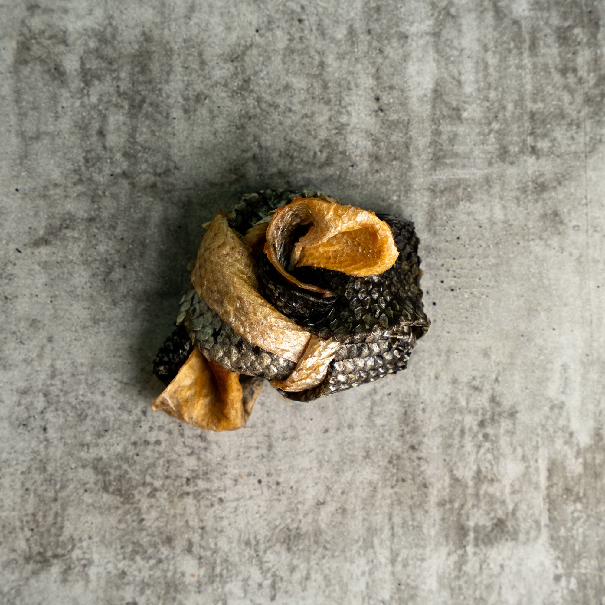 SALMON KNOT