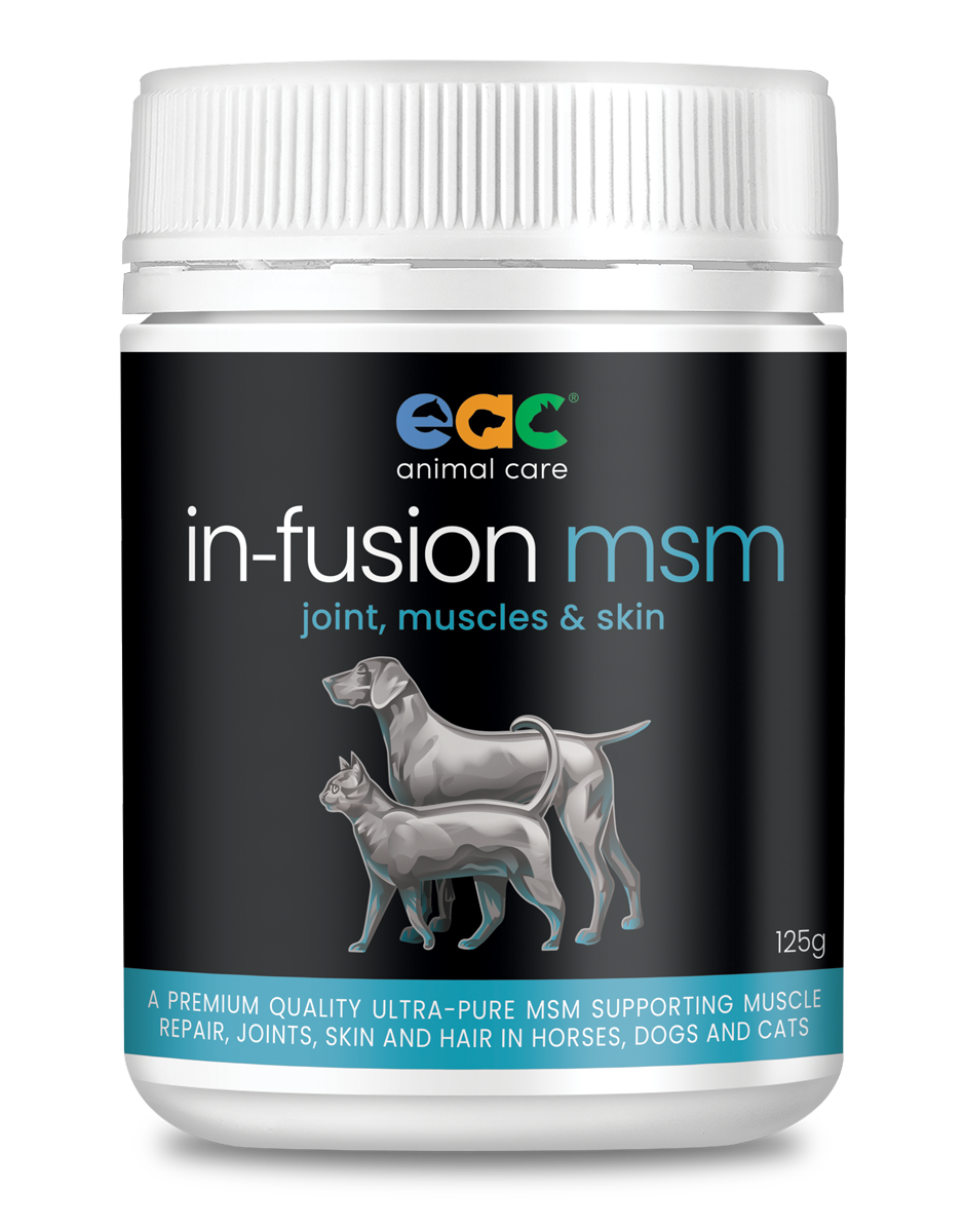 IN-FUSION MSM - JOINT SUPPLEMENT