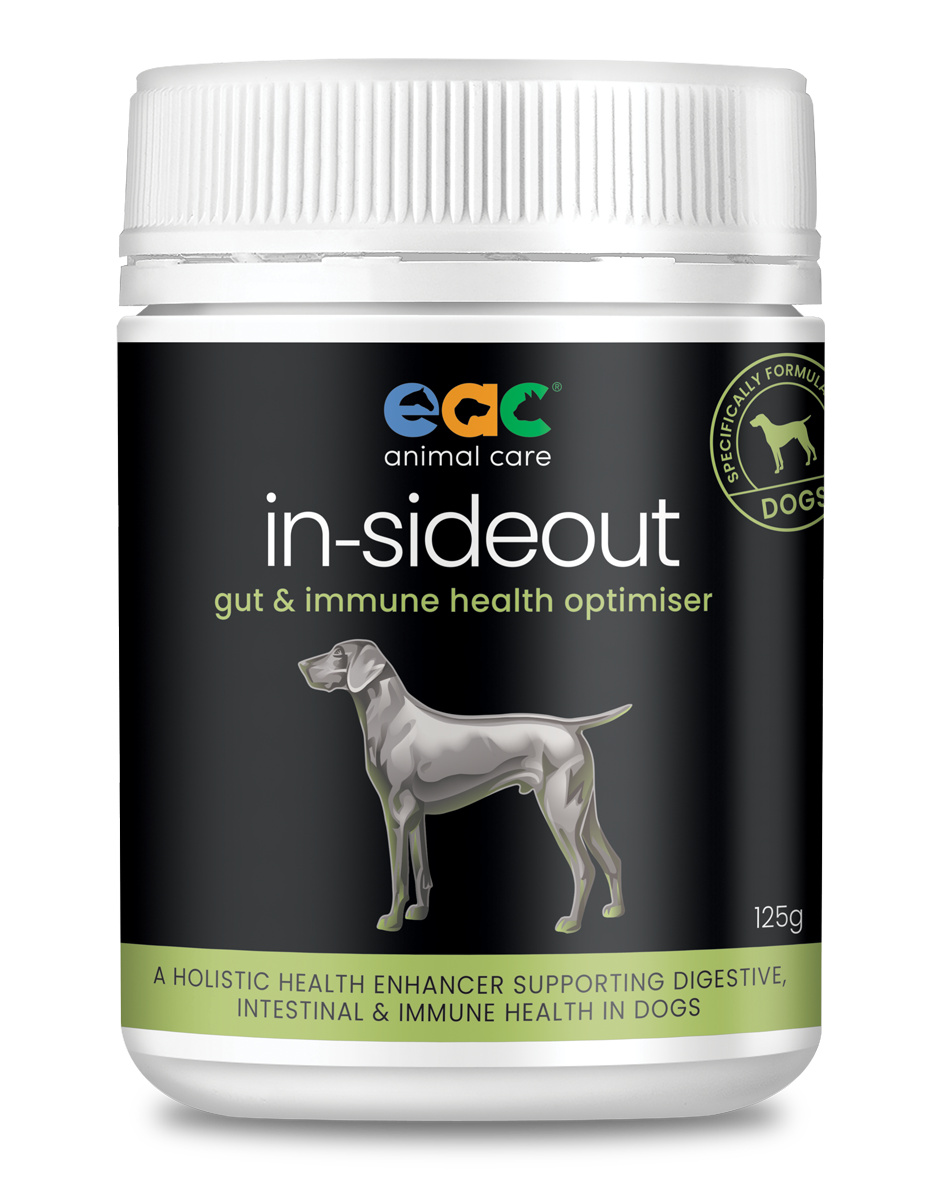 in-sideout - Pre & Probiotic For Dogs