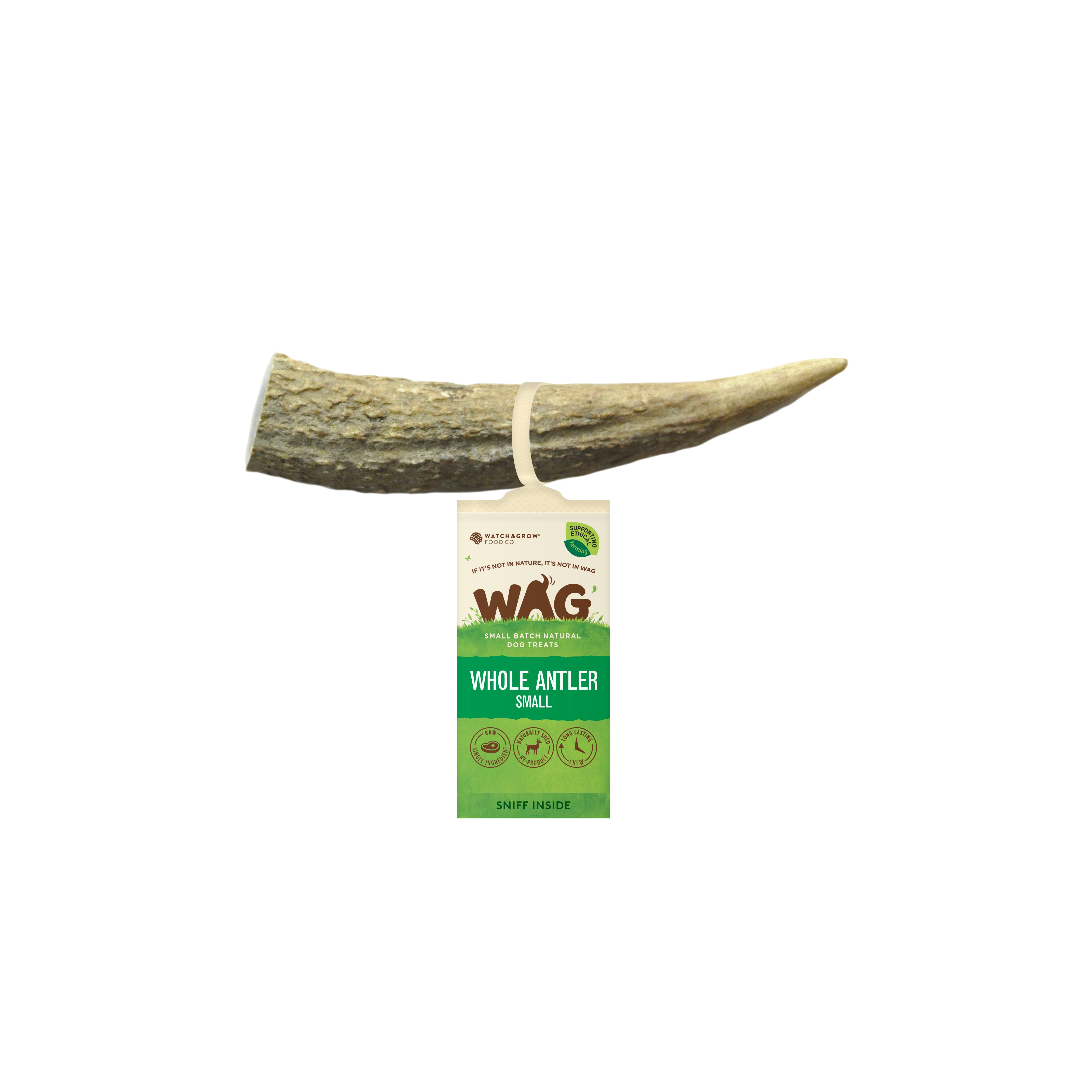 DEER ANTLER